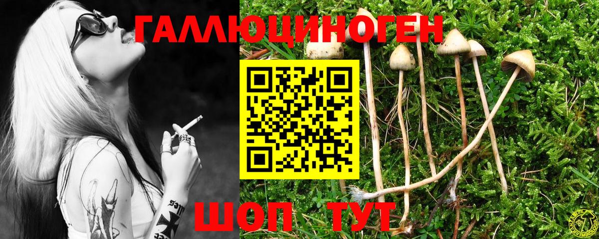 Галлюциногенные грибы мицелий Белорецк